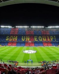  佛罗伦萨主场灯光故障导致比赛延期  