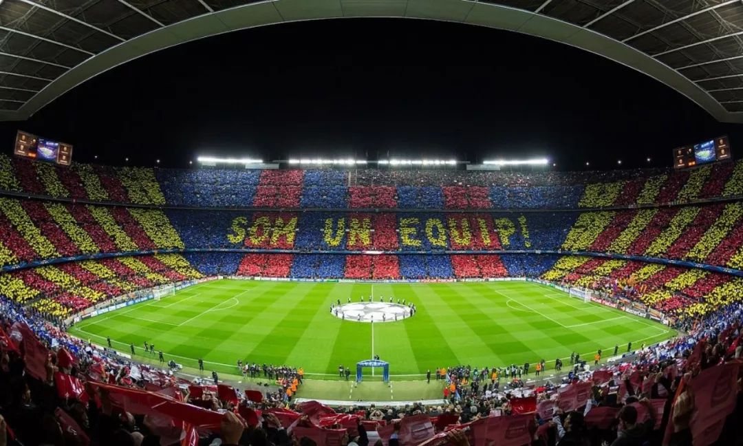  佛罗伦萨主场灯光故障导致比赛延期  